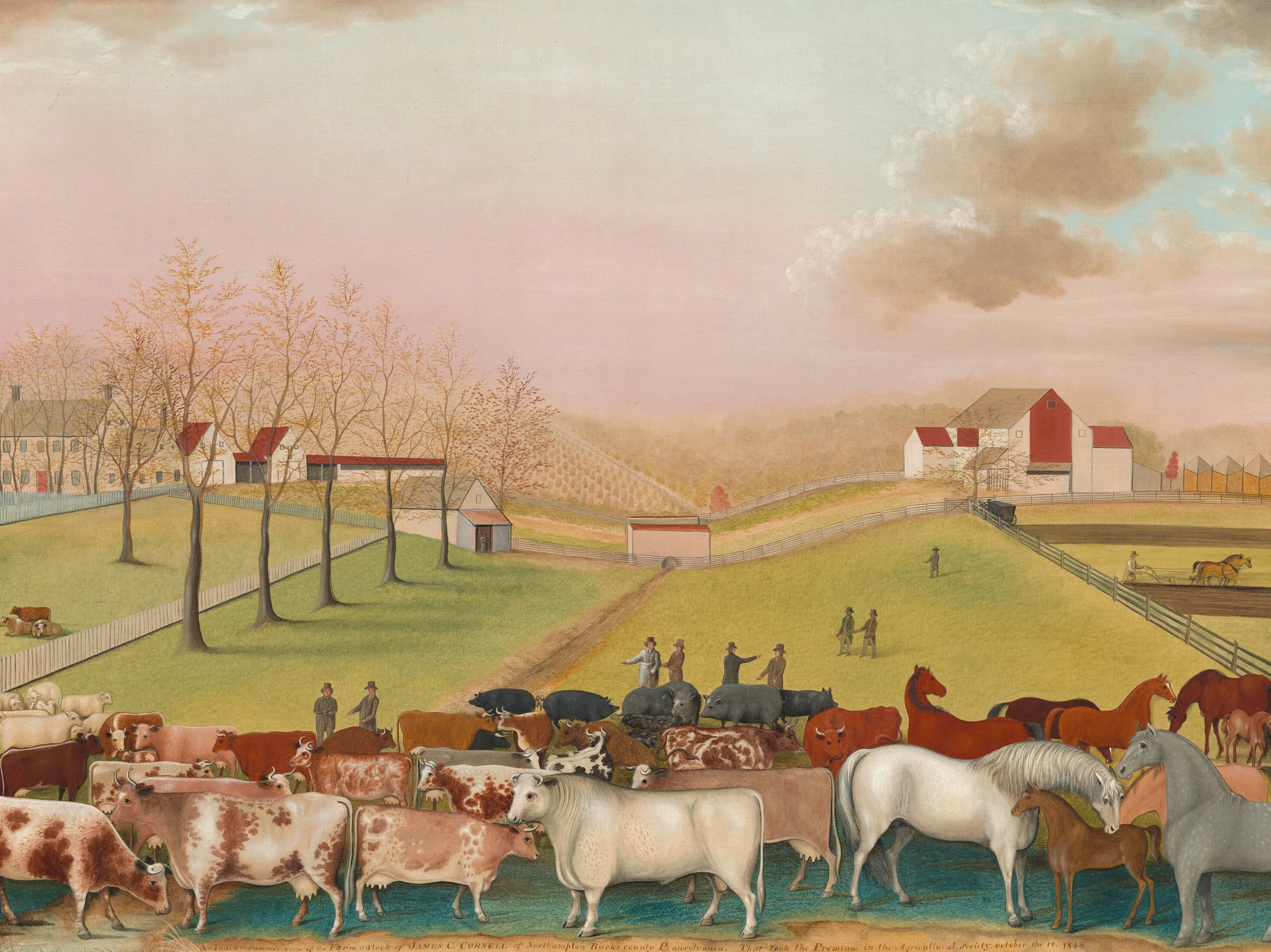 The Cornell Farm
