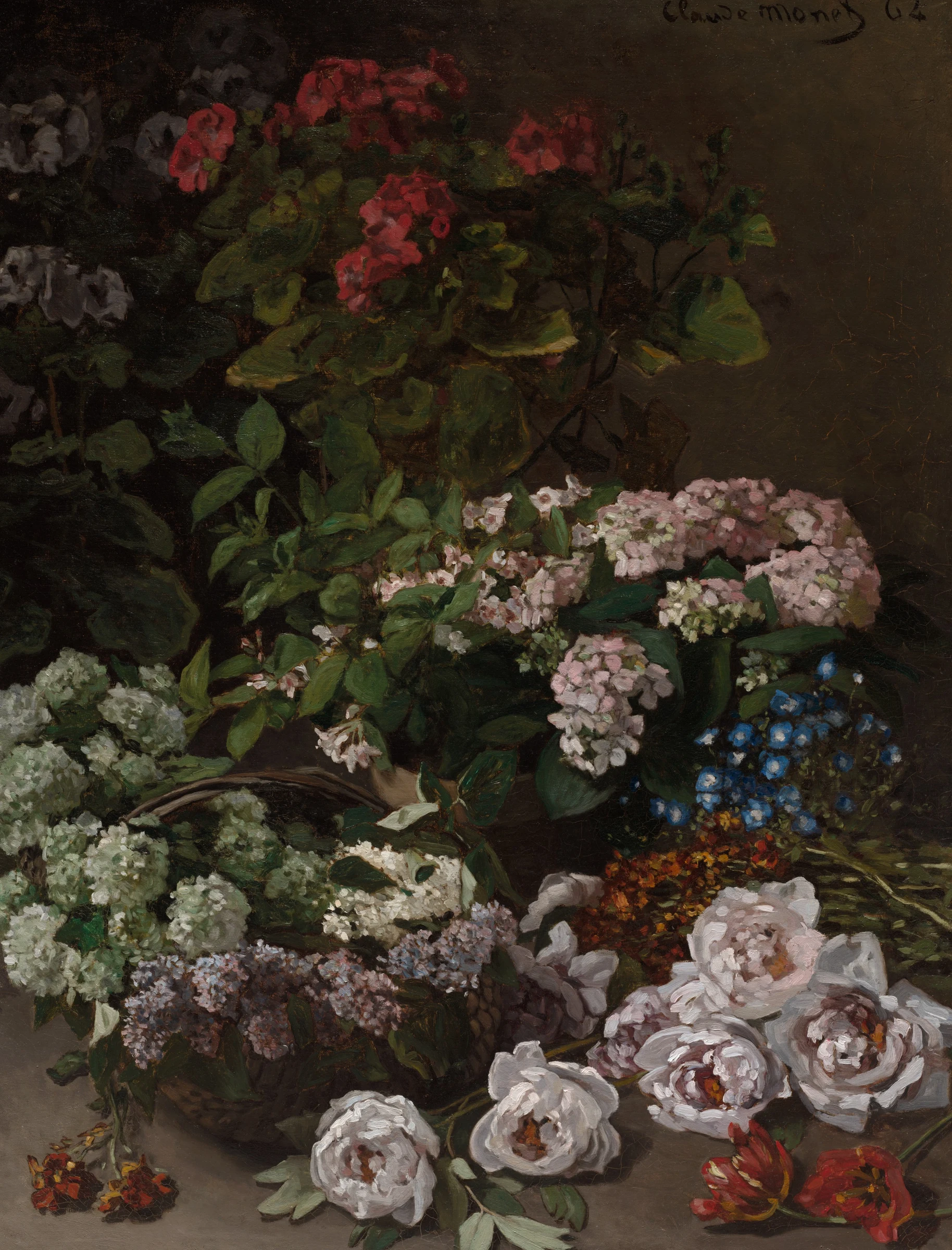 Spring Flowers