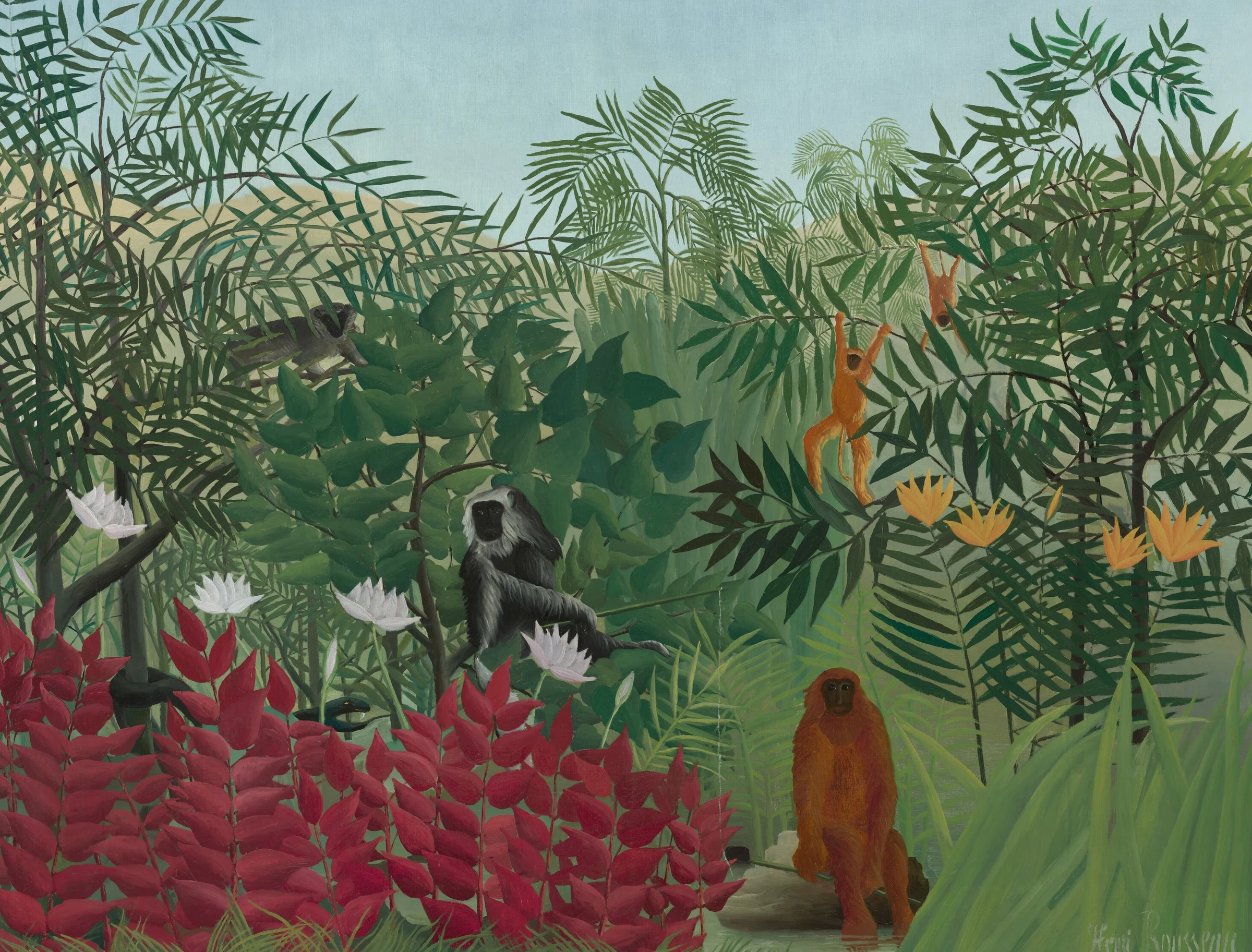 Tropical Forest with Monkeys