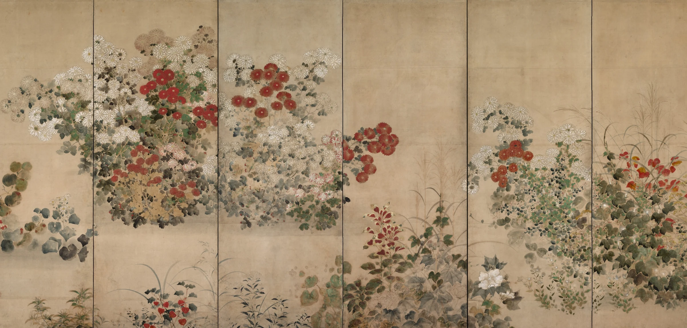 Flowers and Grasses