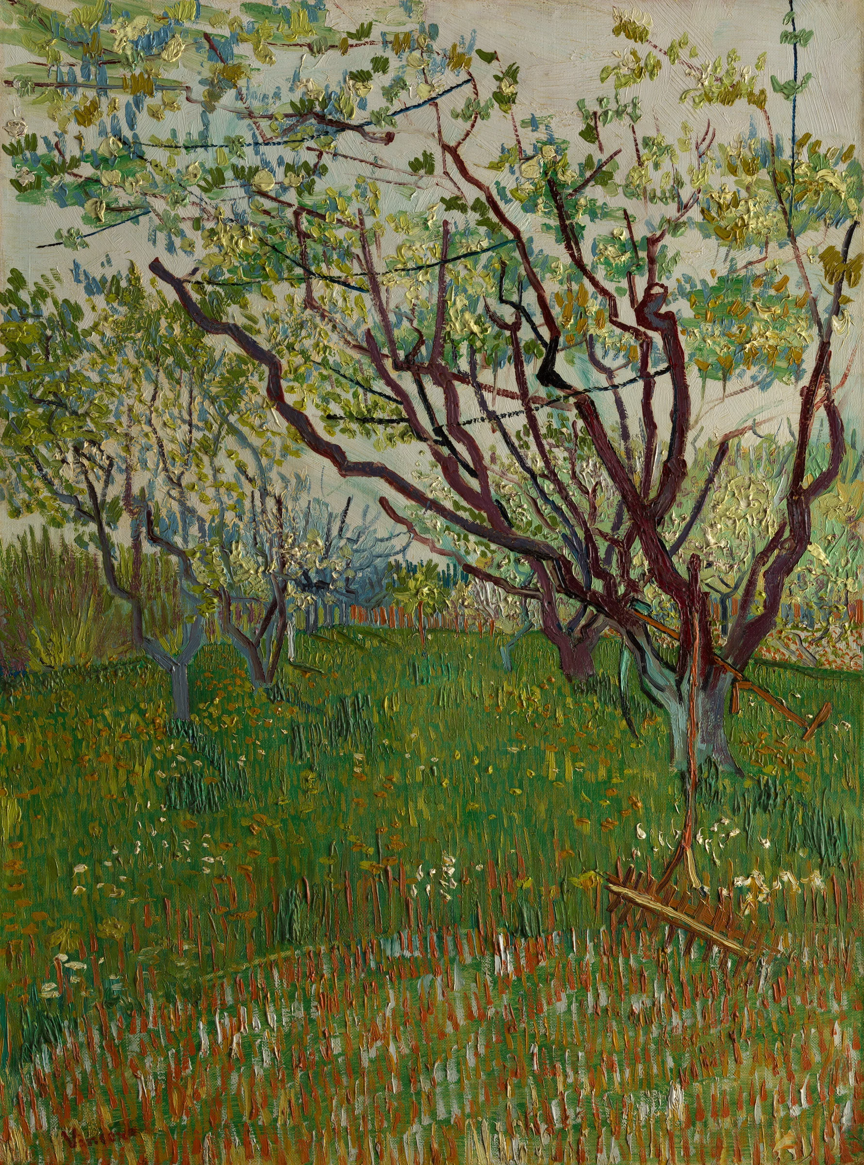 The Flowering Orchard